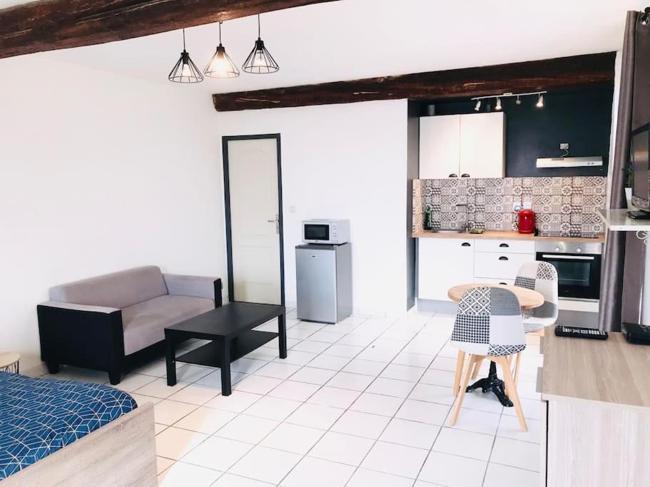 Appartement Douillet Au Bord De L'yonne Auxerre